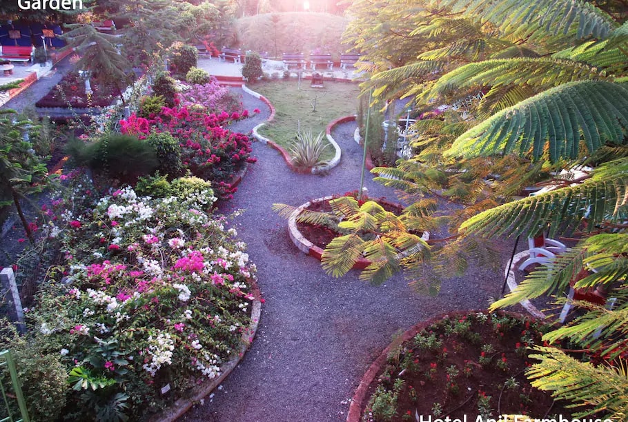 anil-farmhouse-garden