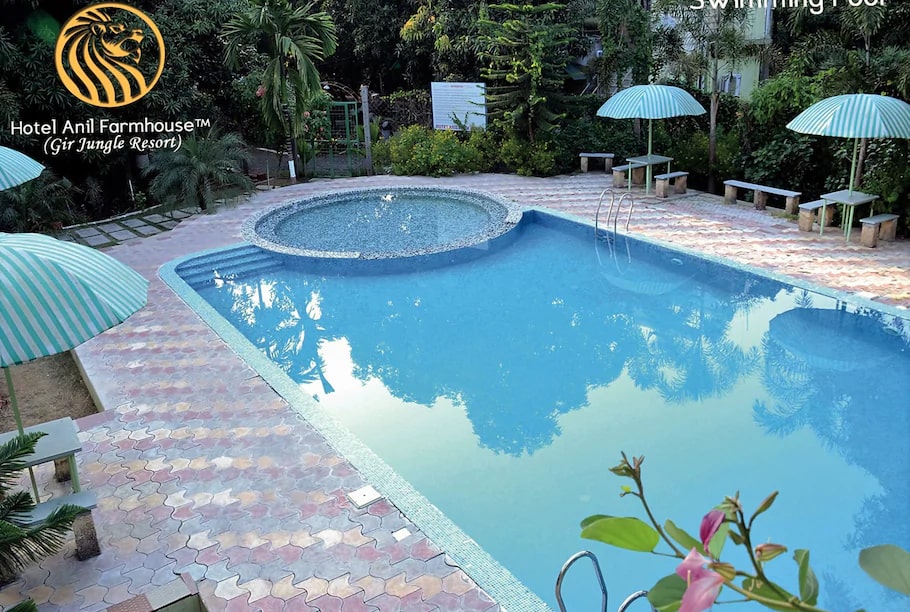 anil-farmhouse-swimming-pool