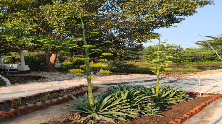 eriline resorts garden