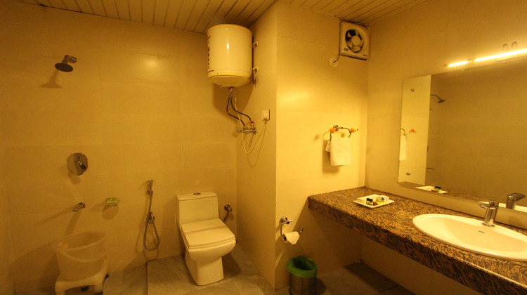 hotel nsb manali washroom
