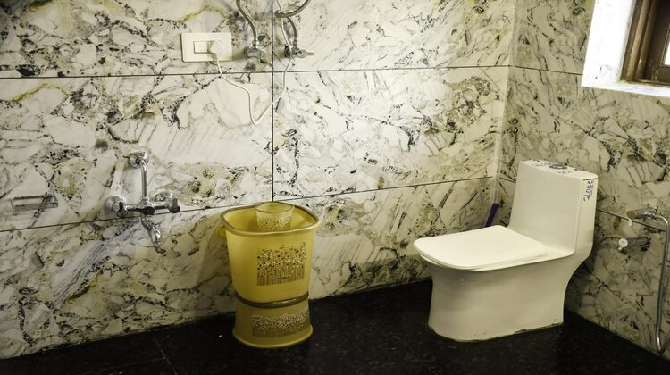 hotel park plaza srinagar, kashmir deluxe room washroom