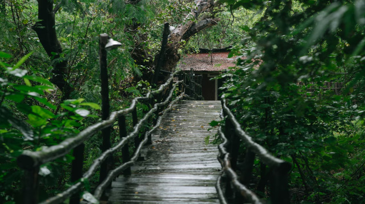 ken river lodge outdoor view