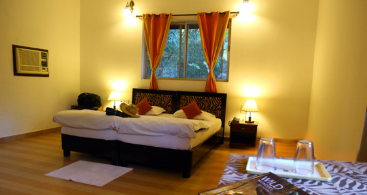 mogliresort-room8