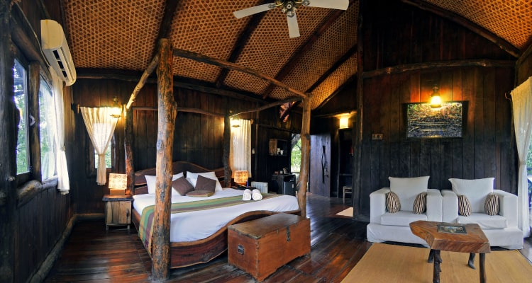 tree-house-room1