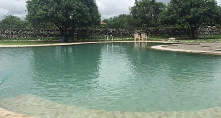 tigercamp-swimming-pool