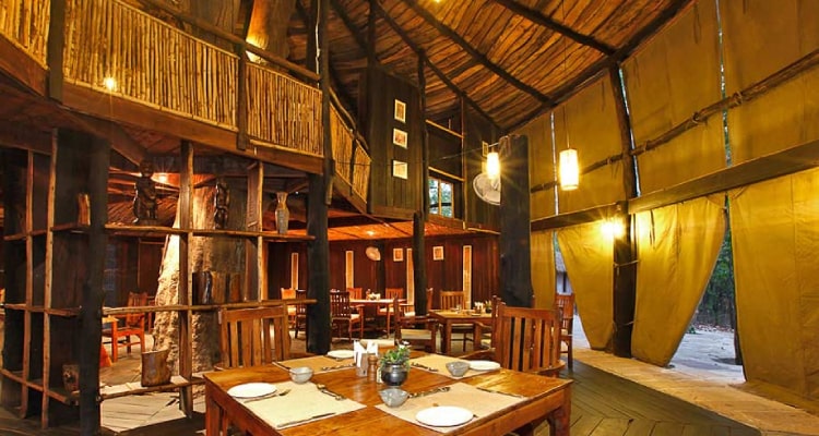 tree-house-restaurant