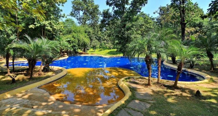 tuli-resort-swimming-pool