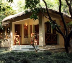 tiger-camp-cottage